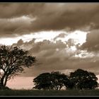 Storm clouds