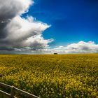 Storm Clouds