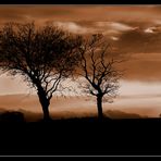 Storm clouds gathering