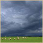 storm clouds near alwinton 4