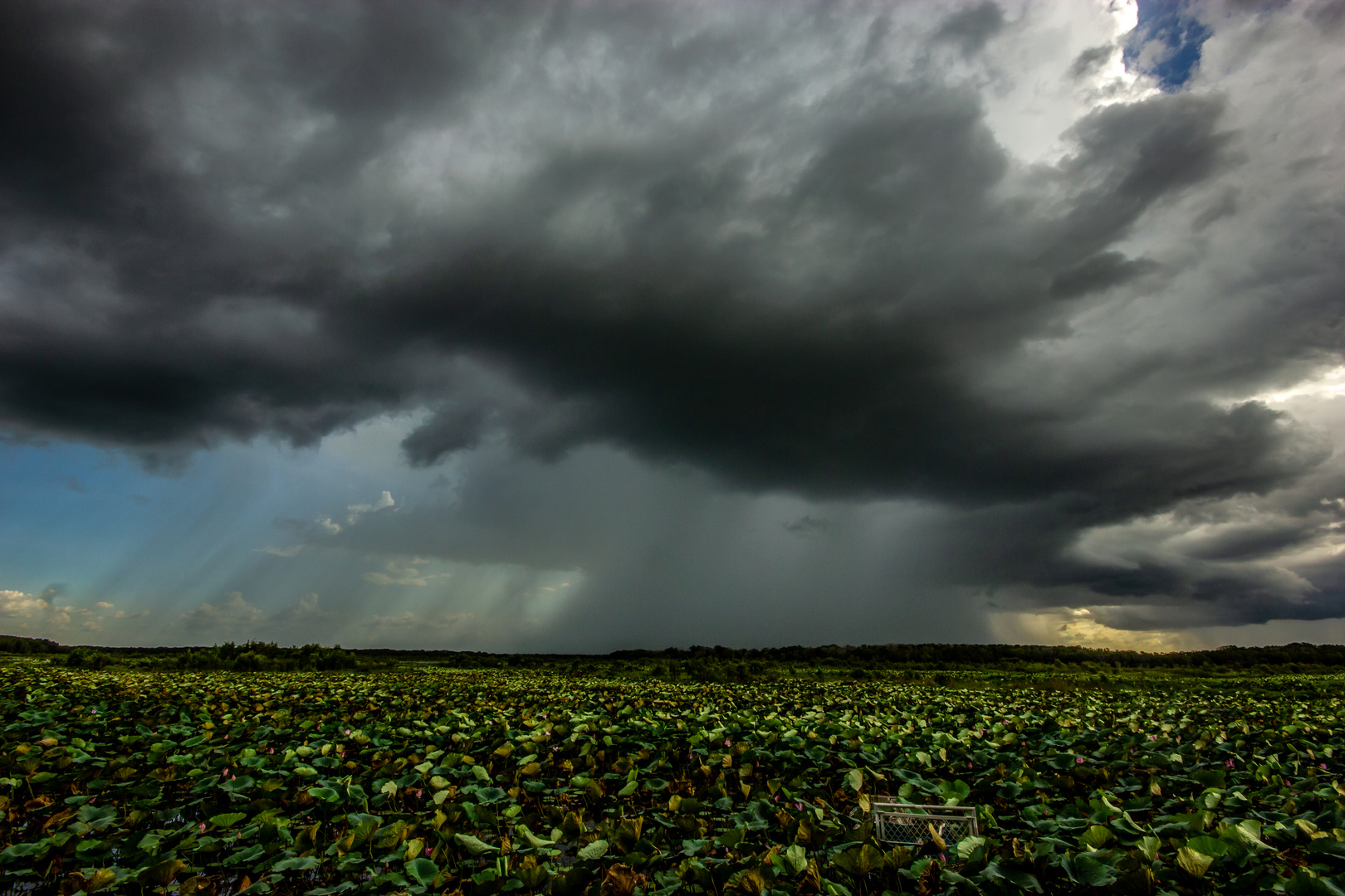 Storm, Fogg Dam Reserve, Wetlands, Northern Territory, Australia