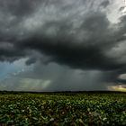 Storm, Fogg Dam Reserve, Wetlands, Northern Territory, Australia