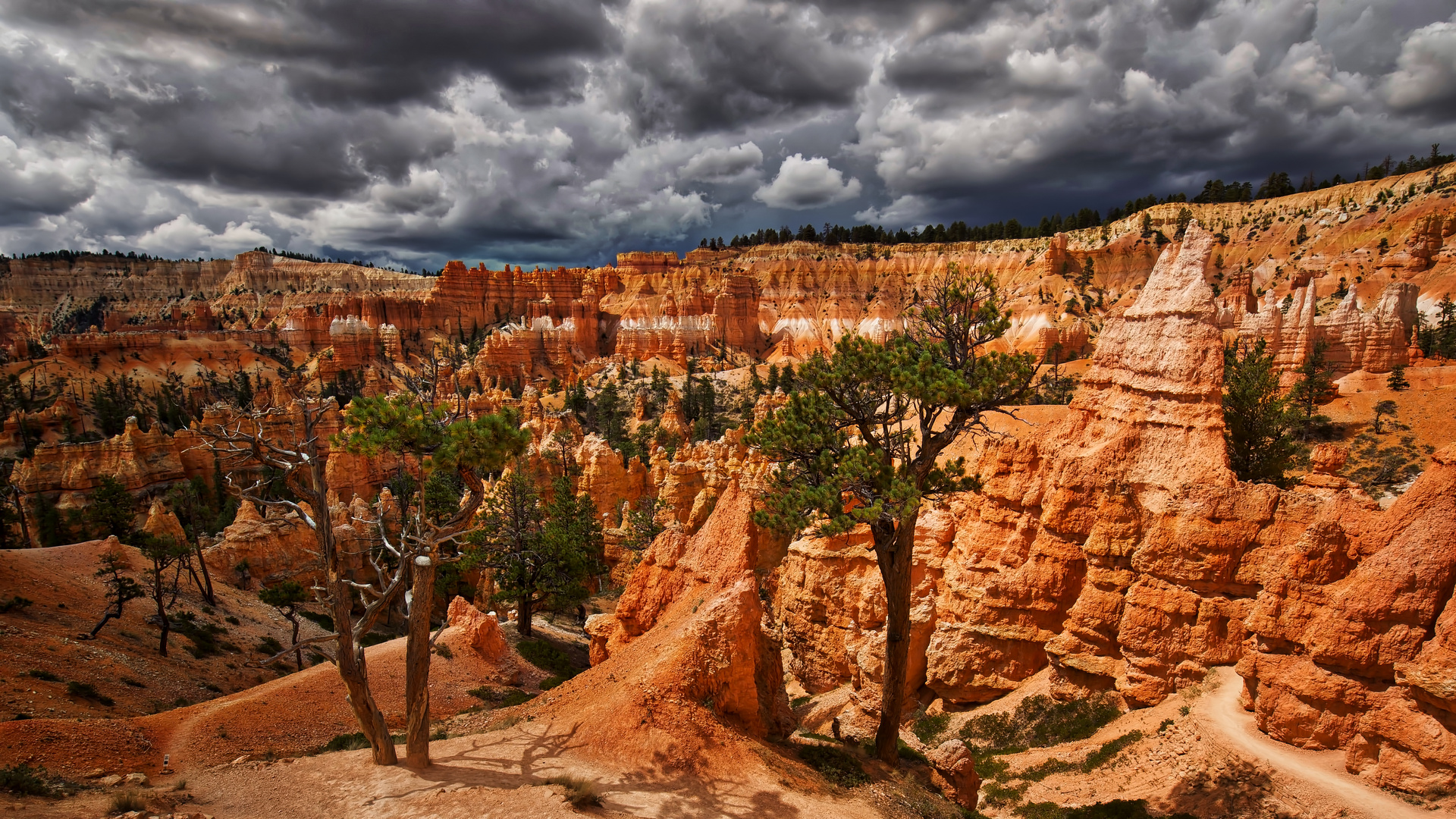 Storm front