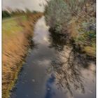 Storm in the Dutch Polder