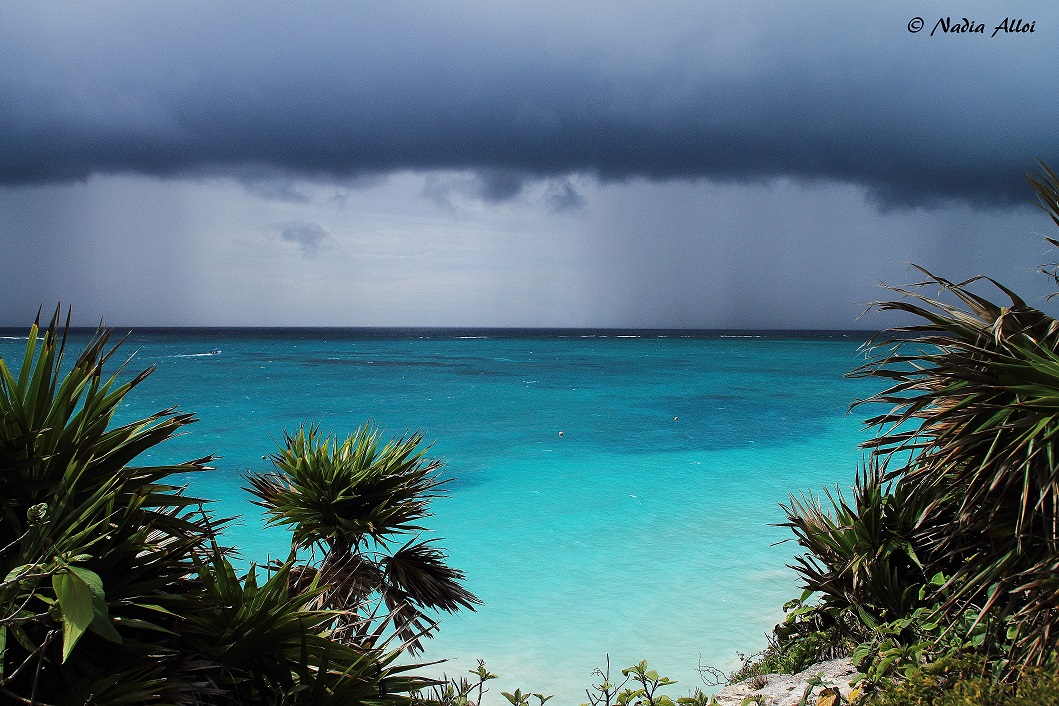 Storm on the sea