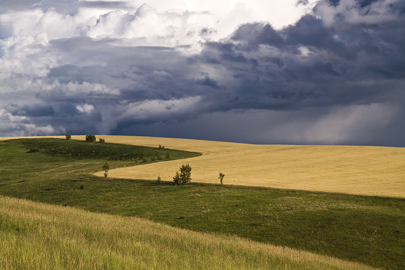 Storm over a terrible field