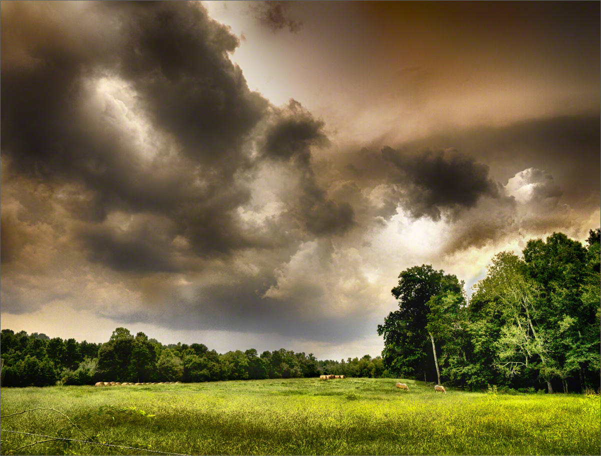 Storm Over Pasture