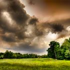 Storm Over Pasture