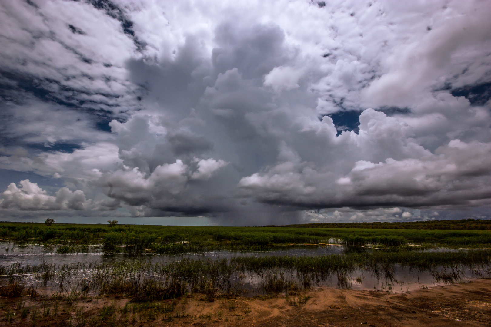 Storm over the Wetlands