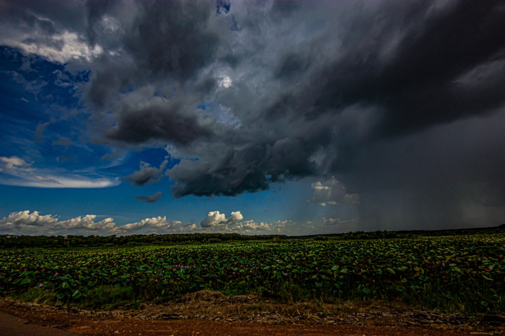 Storm over the Wetlands