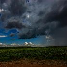 Storm over the Wetlands