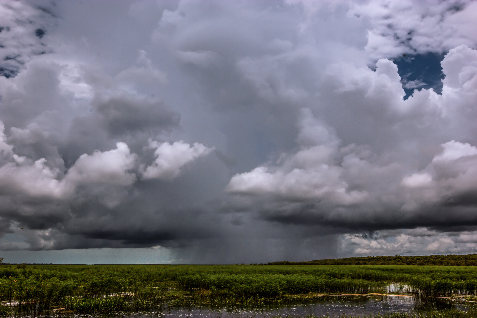 Storm over the Wetlands