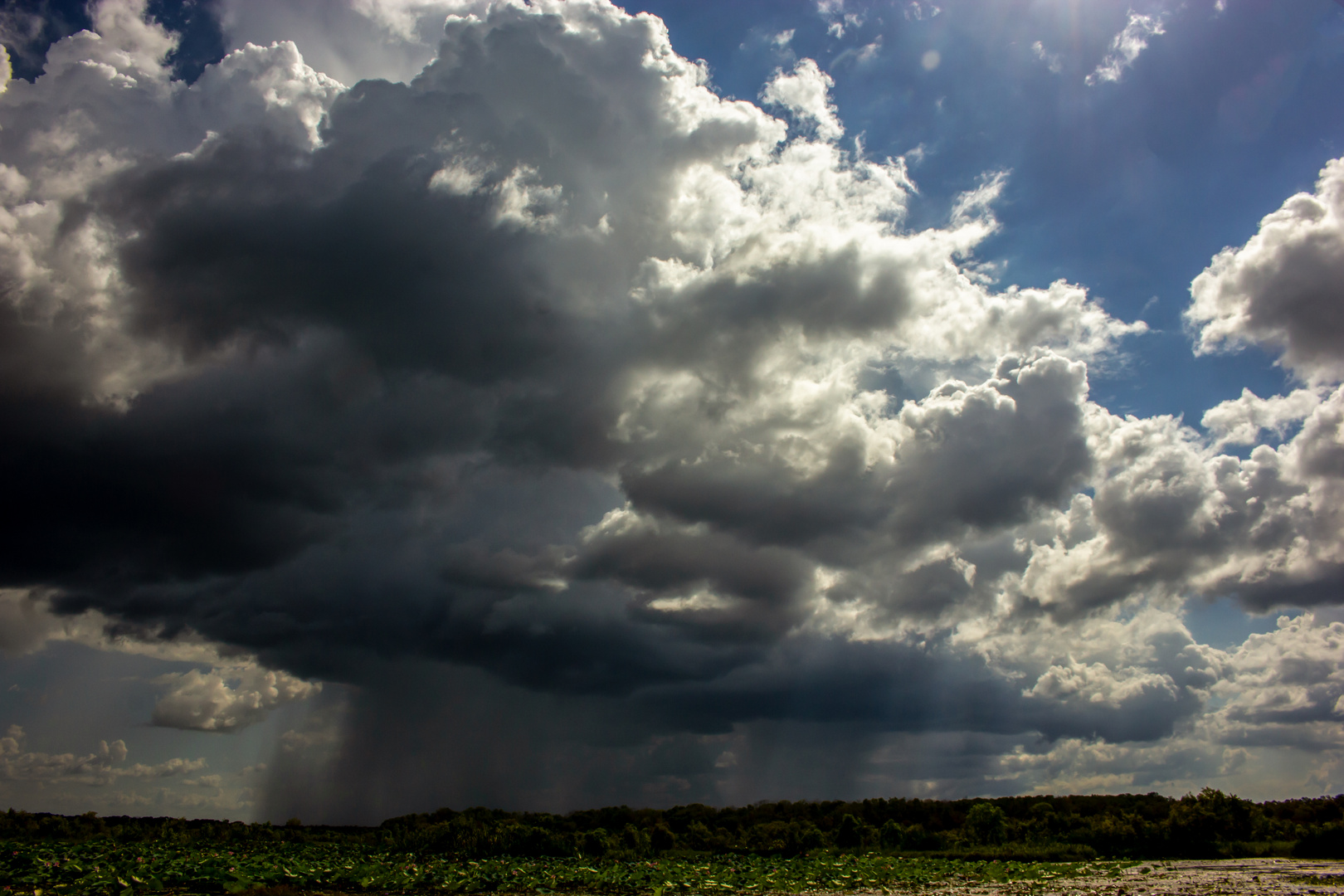 Storm over the Wetlands