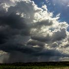 Storm over the Wetlands