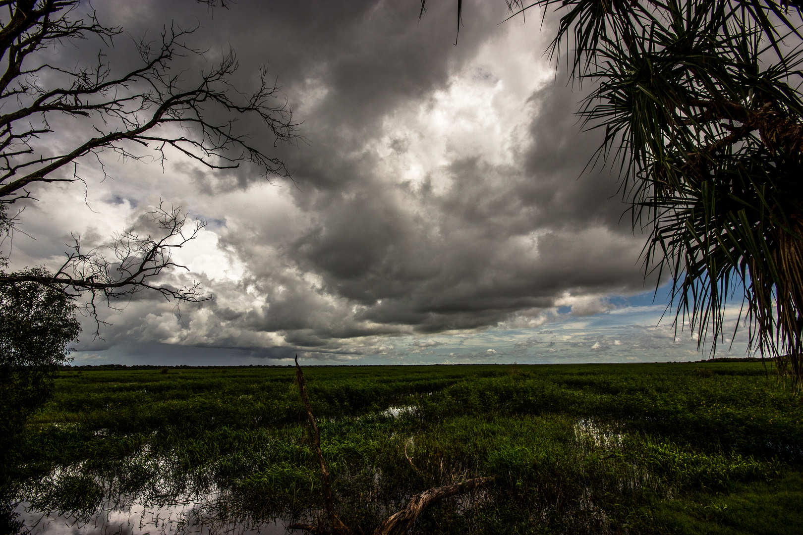 Storm over the Wetlands