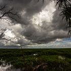 Storm over the Wetlands