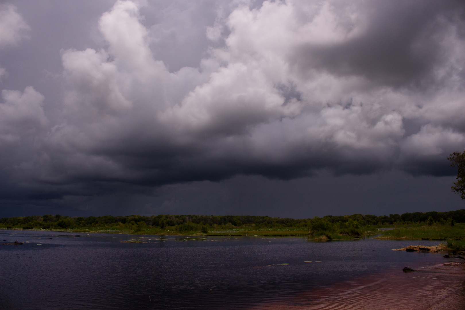 Storm over the Wetlands