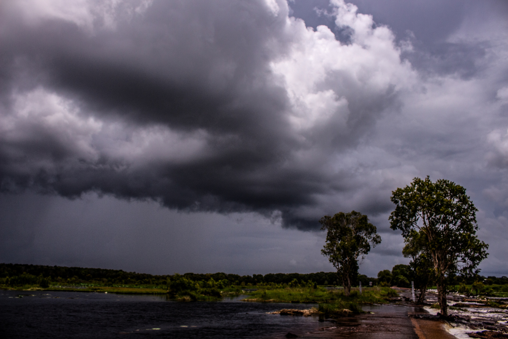 Storm over the Wetlands