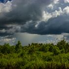 Storm over the Wetlands