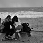 Storm watchers