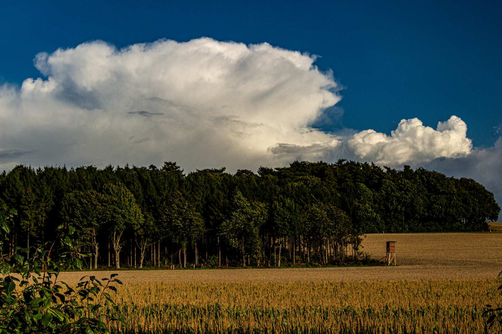 Stormcloud