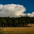 Stormcloud