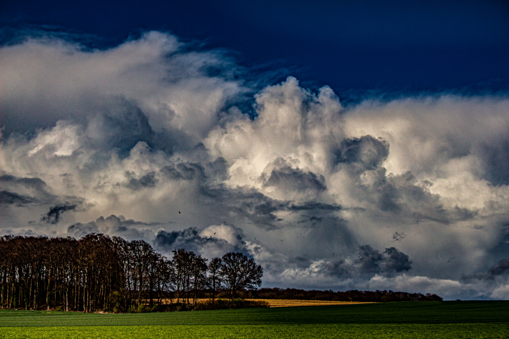 Stormclouds