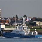 STORMMEEUW, Nieuwe Waterweg, Rotterdam