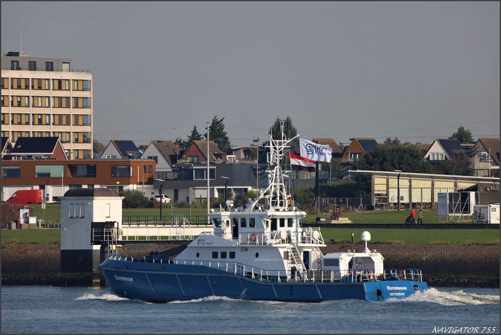 STORMMEEUW, Nieuwe Waterweg, Rotterdam