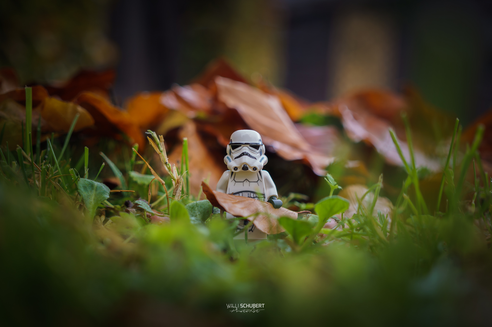 Stormtrooper im Laub