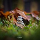 Stormtrooper im Laub