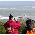 Stormwatching auf Helgoland