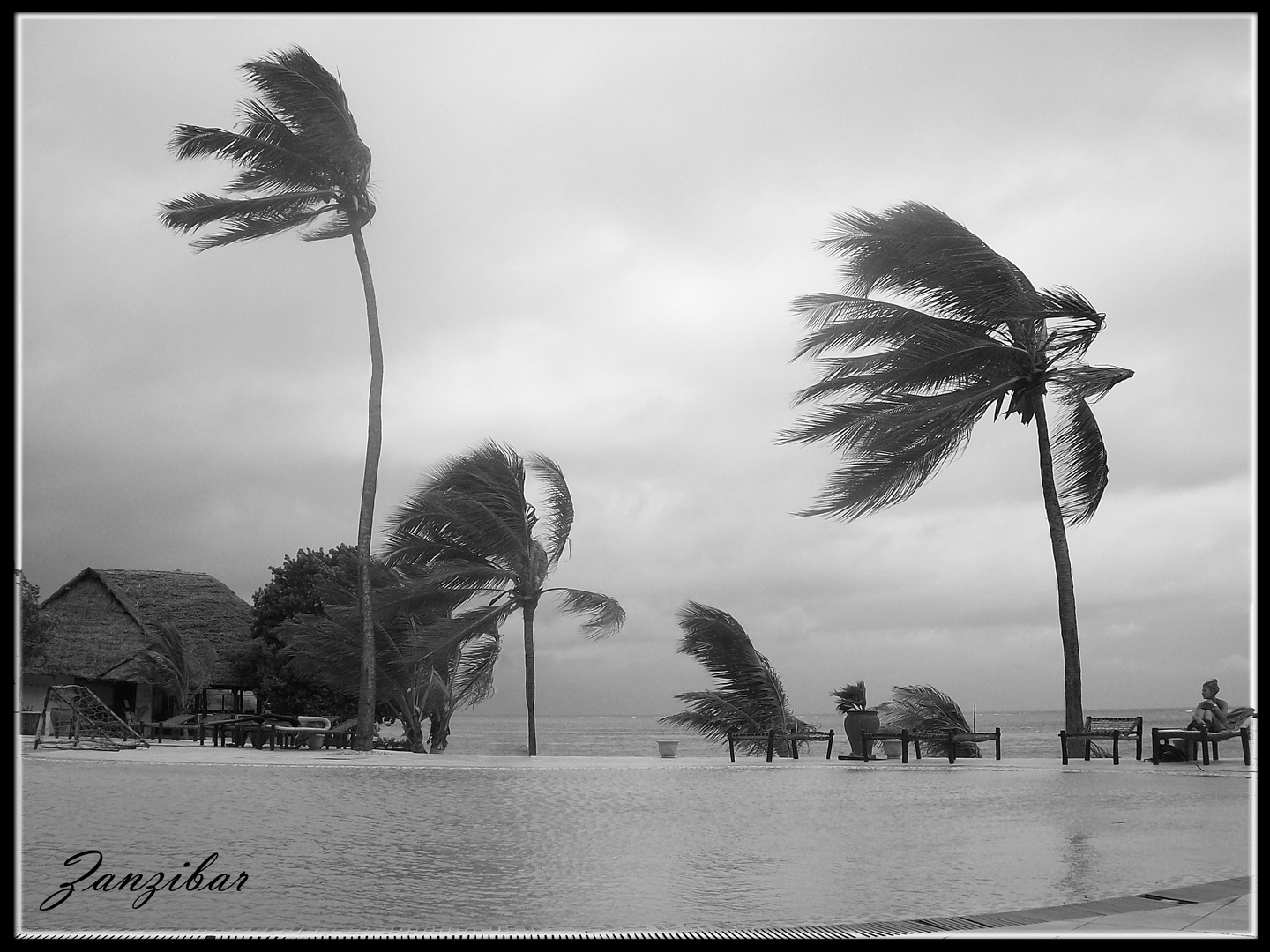 Stormy Day in Zanzibar