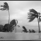 Stormy Day in Zanzibar