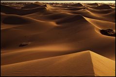 *** STORMY DUNES ***