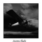 Stormy Flight