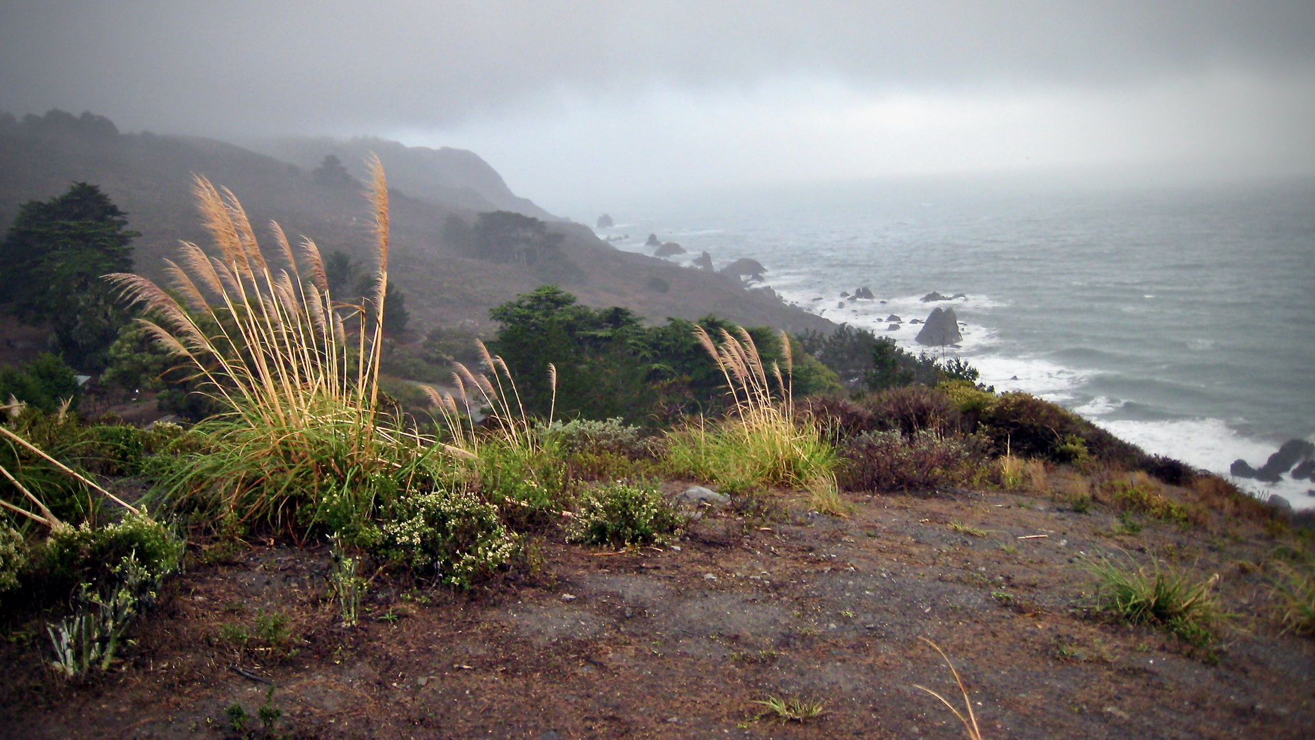 Stormy Stinson Beach California (2008)