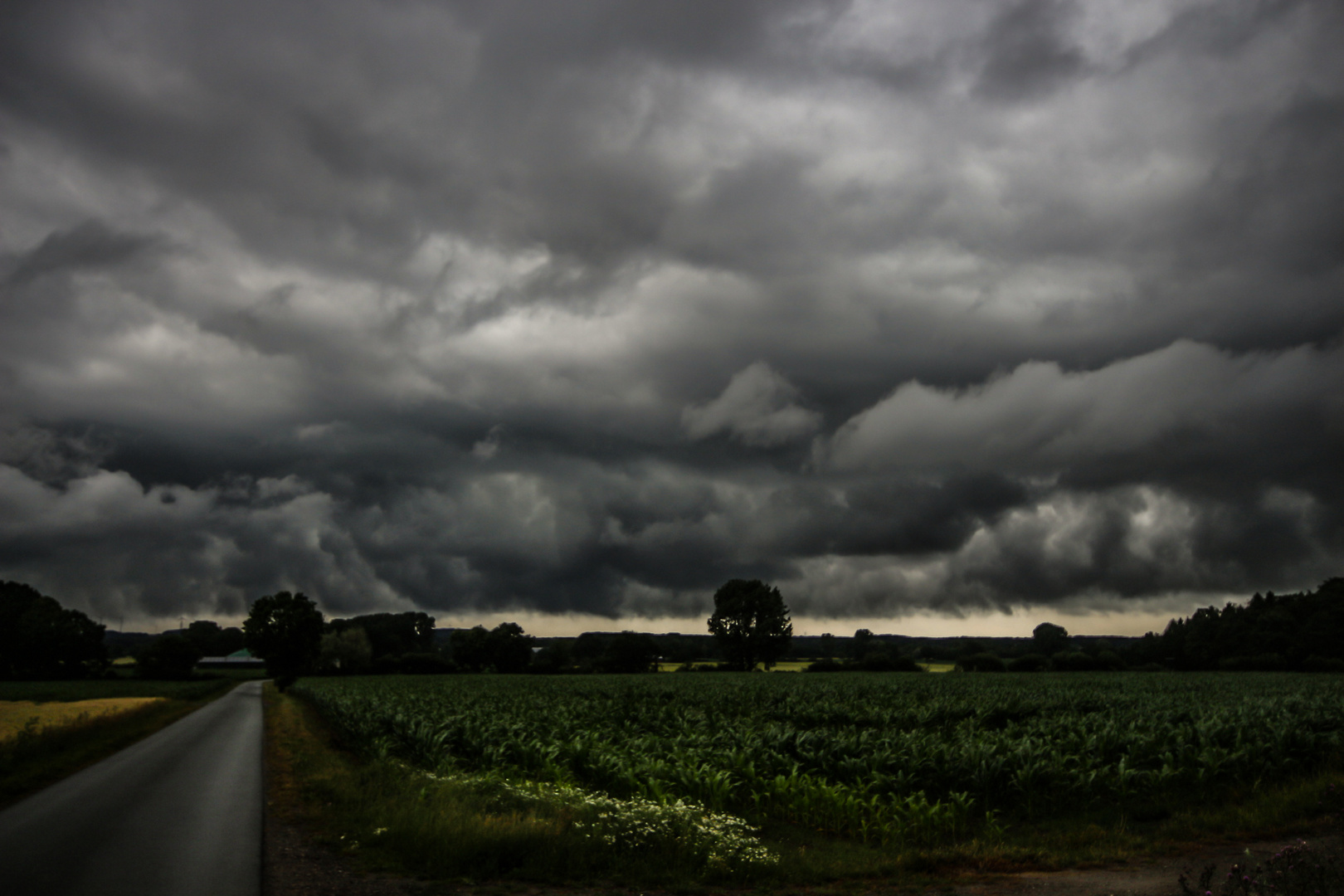 Stormy Weather