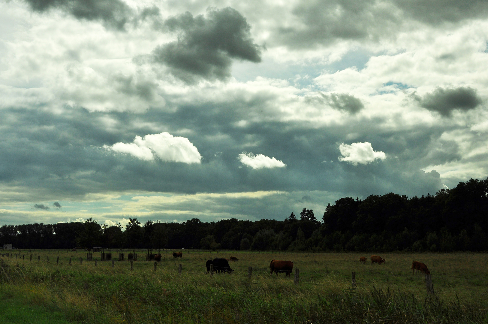 stormy weather