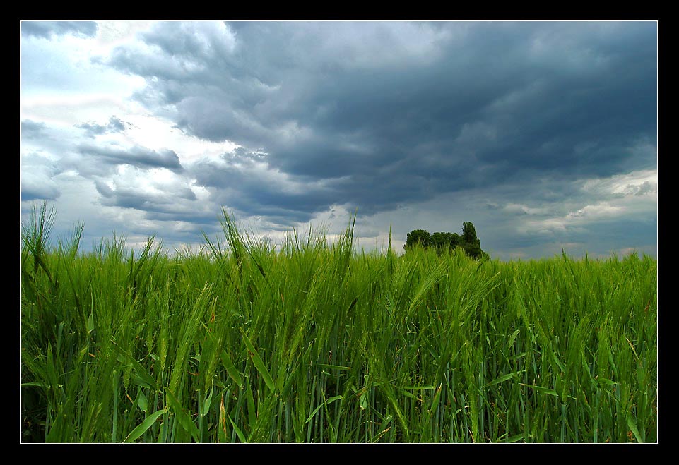 stormy weather