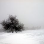 stormy weather - stürmisches Wetter