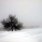 stormy weather - stürmisches Wetter