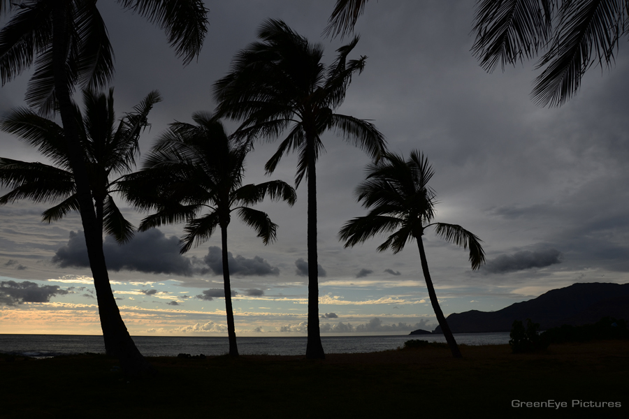 Stormy Weathers