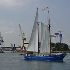 Stortemelk vor der MV Werft