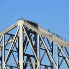 Story Bridge Brisbane