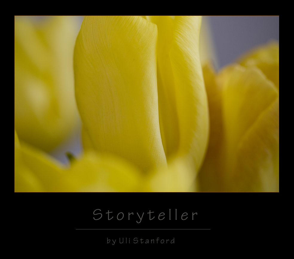 Storyteller