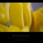 Storyteller