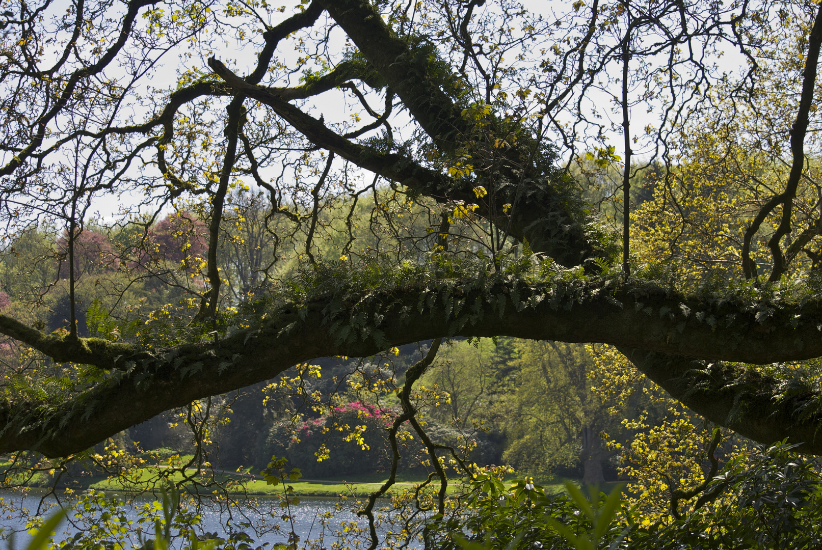 Stourhead Gardens