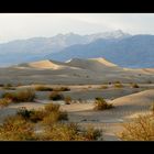 [ Stovepipe Wells Dunes ]