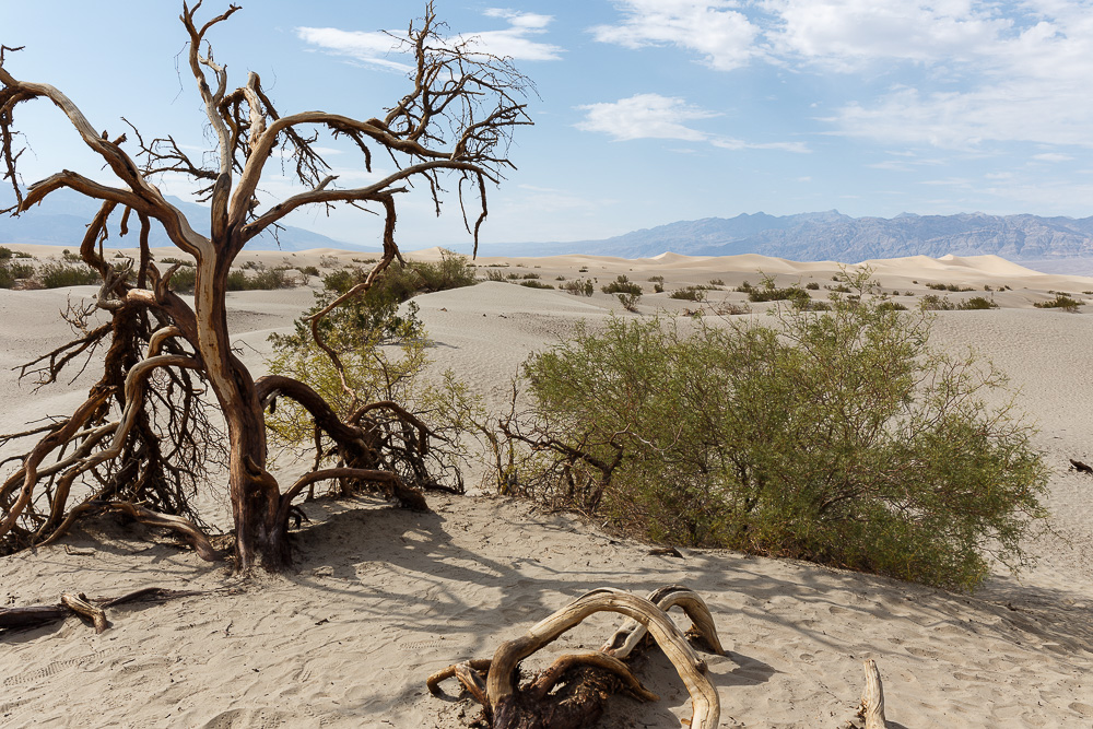 Stovepipe Wells im Death Valley